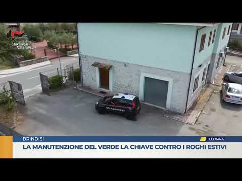Manutenzione del verde la chiave contro i roghi