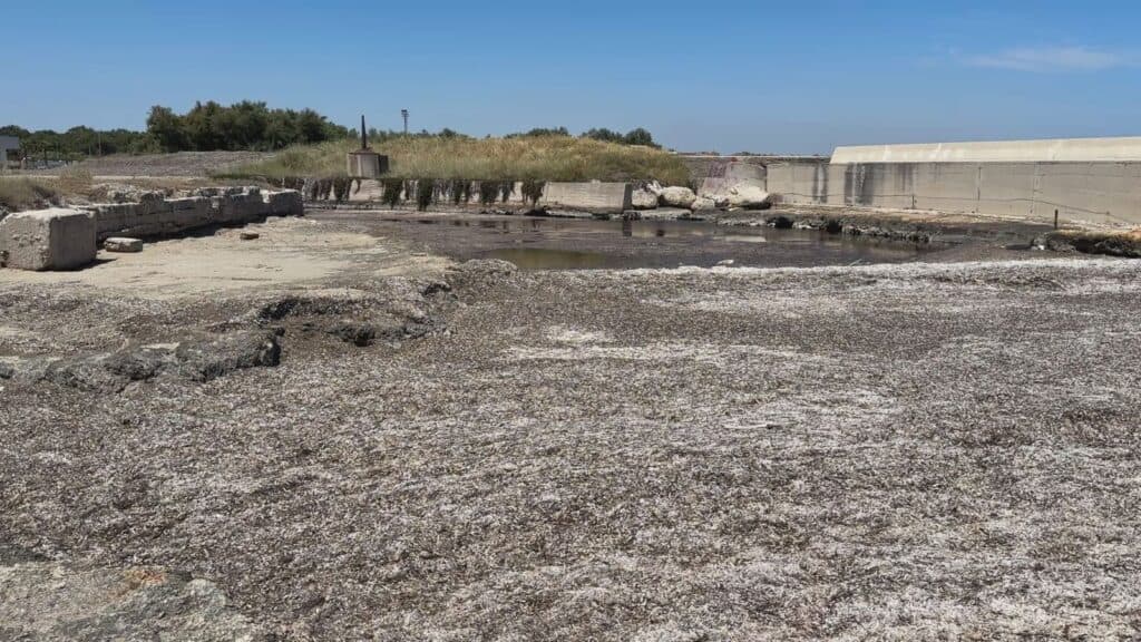 Darsena San Cataldo chiusa, la disperazione del pescatore Franchino: "Aiutatemi"